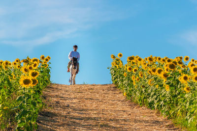 Full length of man standing on sunflower field against sky