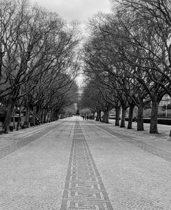 Empty road along bare trees