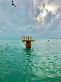 Seagull flying over sea against sky