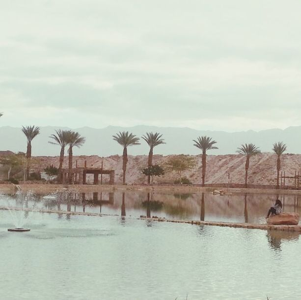 water, sky, waterfront, cloud - sky, tree, tranquility, lake, tranquil scene, nautical vessel, cloudy, palm tree, nature, cloud, sea, boat, scenics, beauty in nature, day, transportation, outdoors