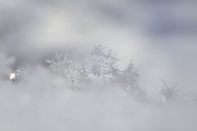 Extreme close up of ice crystals