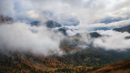 Aerial view of landscape