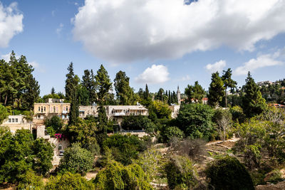 Plants and trees by buildings against sky