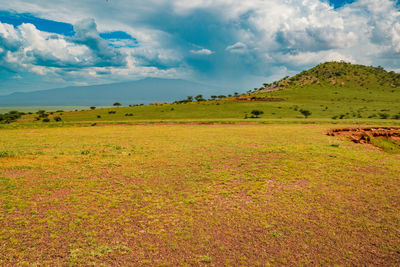 Scenic view of field against sky