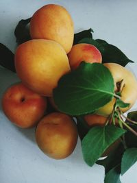 Close-up of oranges