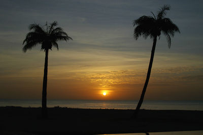 Silhouette palm tree on beach against sky during sunset