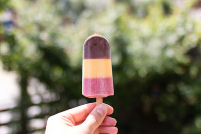 Cropped image of person holding ice cream against trees