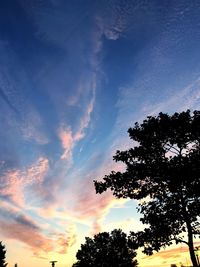 Low angle view of silhouette trees against sky