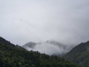 environment