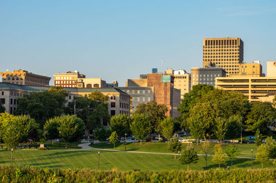 Trees and buildings in city against clear sky