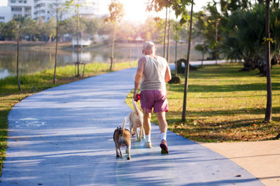 Rear view of man running with dogs on road
