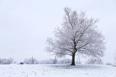 Bare tree on snow covered field against clear sky