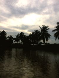 Silhouette palm trees by sea against sky during sunset