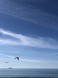 Seagull flying over sea against sky