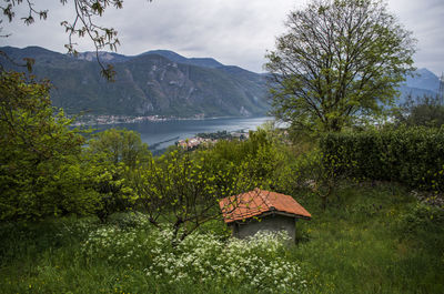 Gazebo in a lake