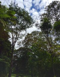 Low angle view of trees against cloudy sky