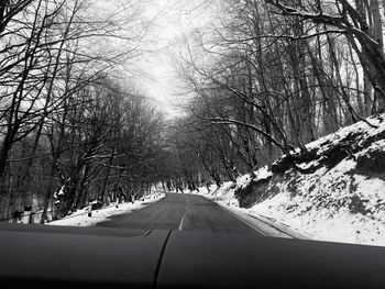 Snow covered road amidst trees