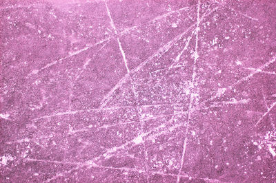 Full frame shot of pink petals