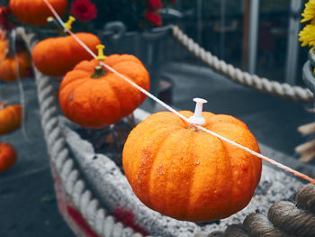 Halloween street decoration. tiny orange pumpkins hanging on the rope. autumn outdoor decorations
