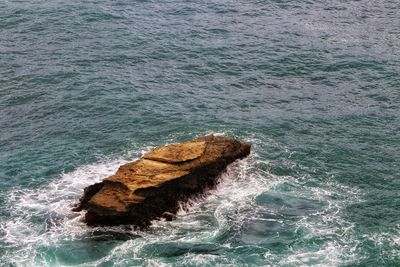 High angle view of rock formation in sea