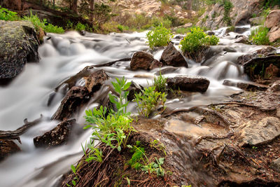 Scenic view of waterfall in forest