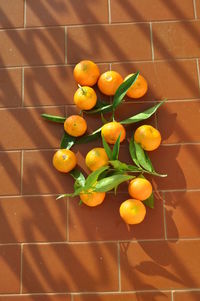 Close-up of fruits on wooden table