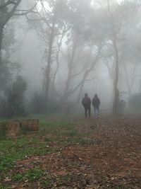 Rear view of people walking on road in forest