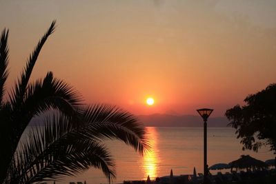 Silhouette of palm trees at sunset