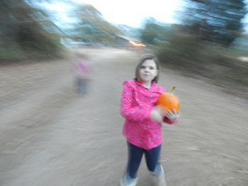 Young woman holding pink while standing on road