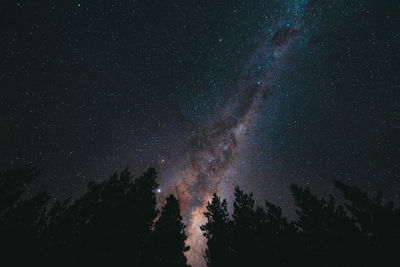 Low angle view of trees against sky at night