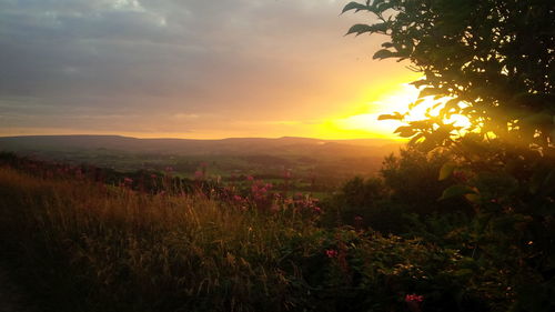 Scenic view of field against sky during sunset