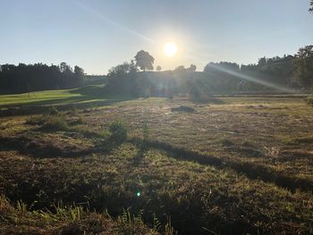 Scenic view of field against sky on sunny day