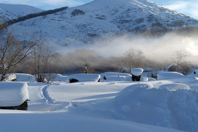 Close-up of snow on mountain