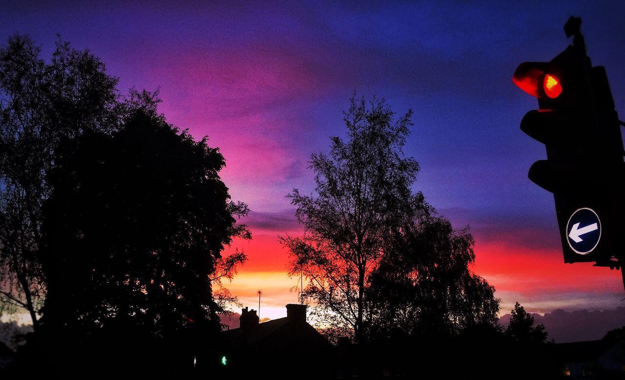 SILHOUETTE TREES AGAINST SKY AT SUNSET