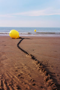 Surface level of sand on beach against sky