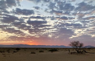 Scenic view of field against sky during sunset