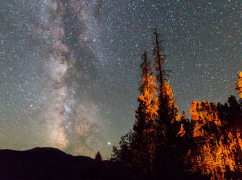 Low angle view of silhouette trees against sky at night