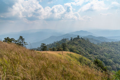 Scenic view of landscape against sky