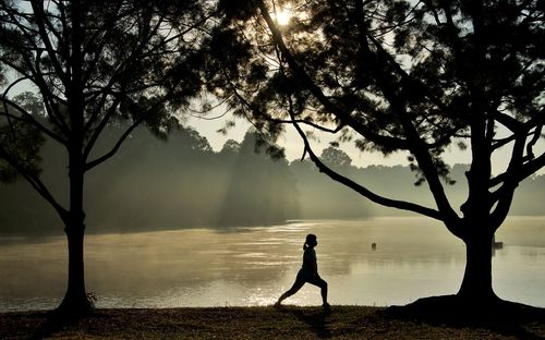 Side view of silhouette man standing by tree during foggy weather