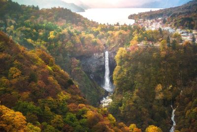 Scenic view of waterfall in forest during autumn