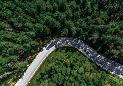 High angle view of road amidst trees in forest