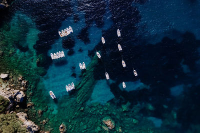 High angle view of people swimming in sea