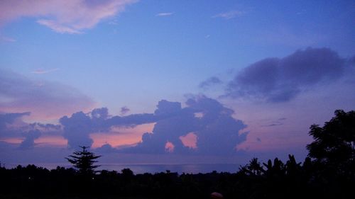 Silhouette trees against sky during sunset