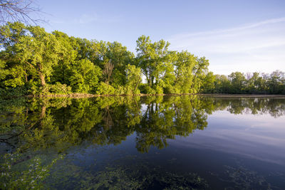 Reflection of trees in lake against sky