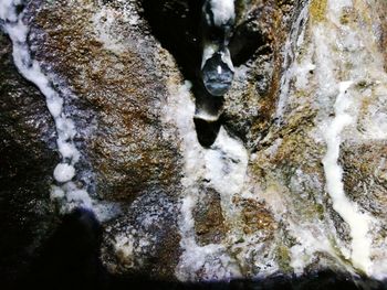 Close-up of icicles on rock