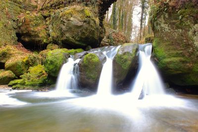 View of waterfall along trees