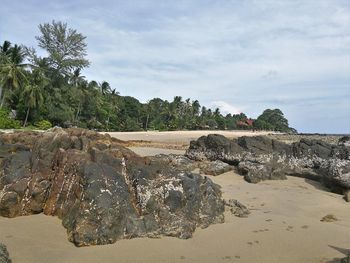 Scenic view of beach against sky