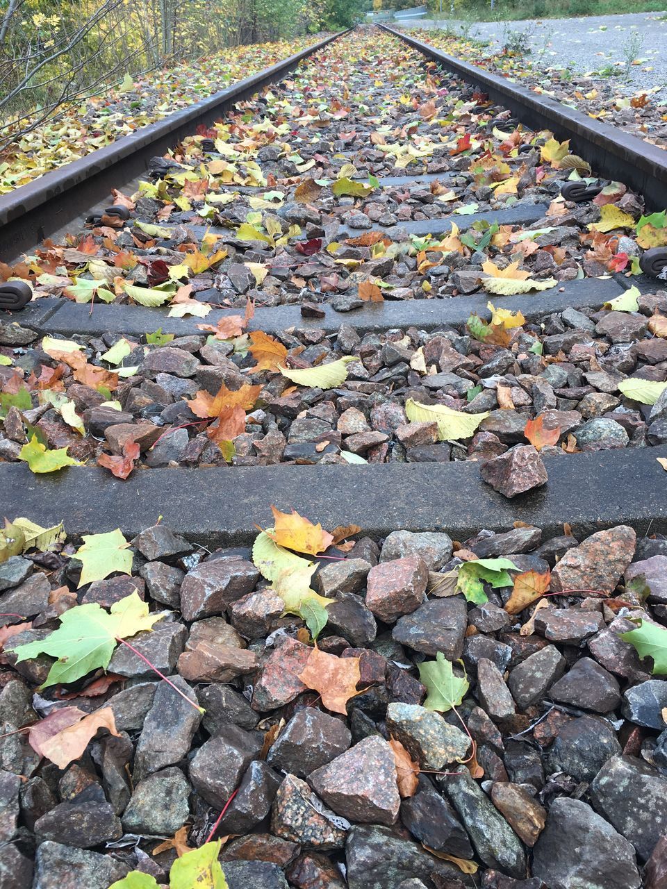 HIGH ANGLE VIEW OF AUTUMN LEAVES ON RAILROAD TRACKS