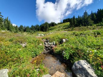 Scenic view of land against sky