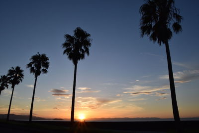 Silhouette palm trees against sky during sunset